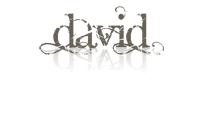 logo david